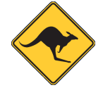 Bayswater City Skippycoin ICG