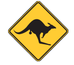 Bayswater City Skippycoin ICG